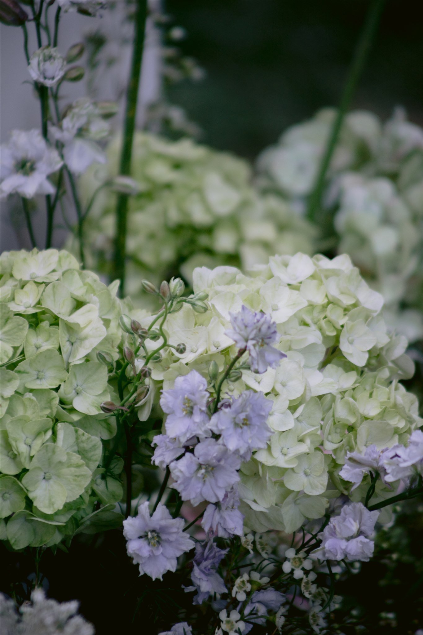 Megumi & Kojiro — 18