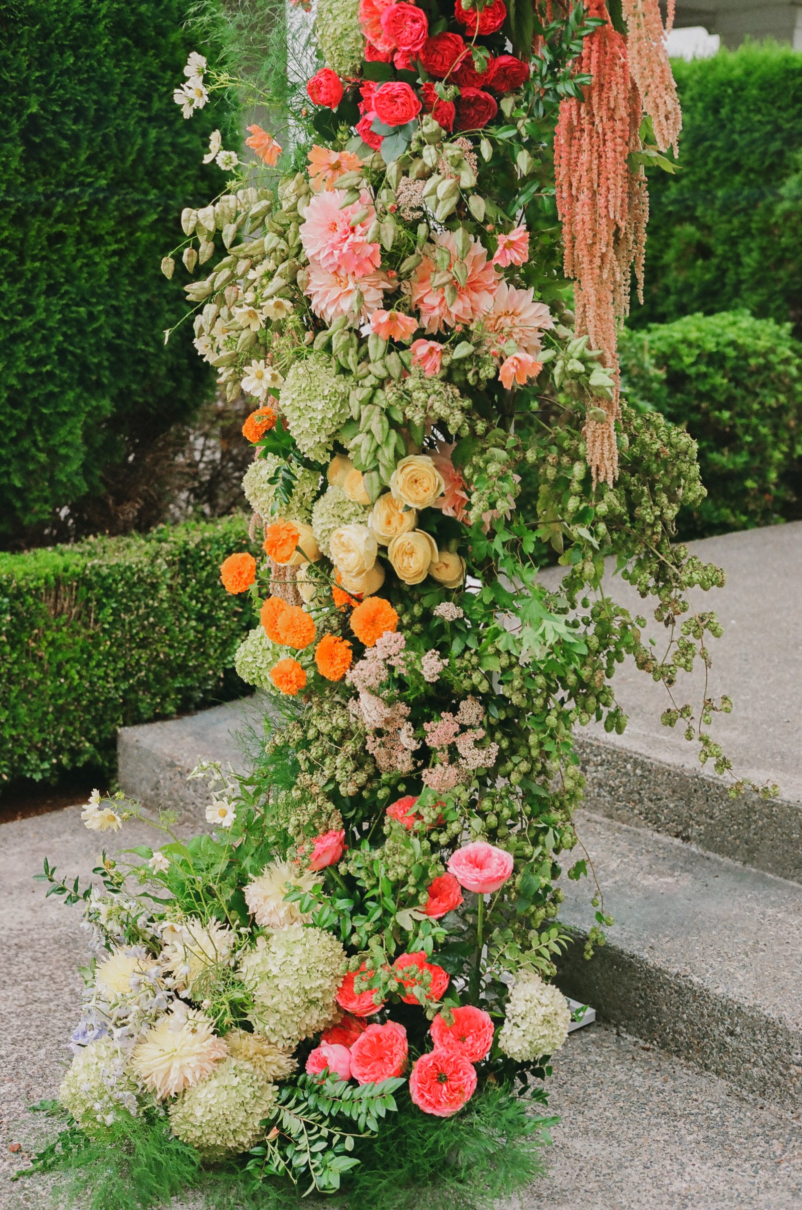 Aerilynn & Manuel — 3