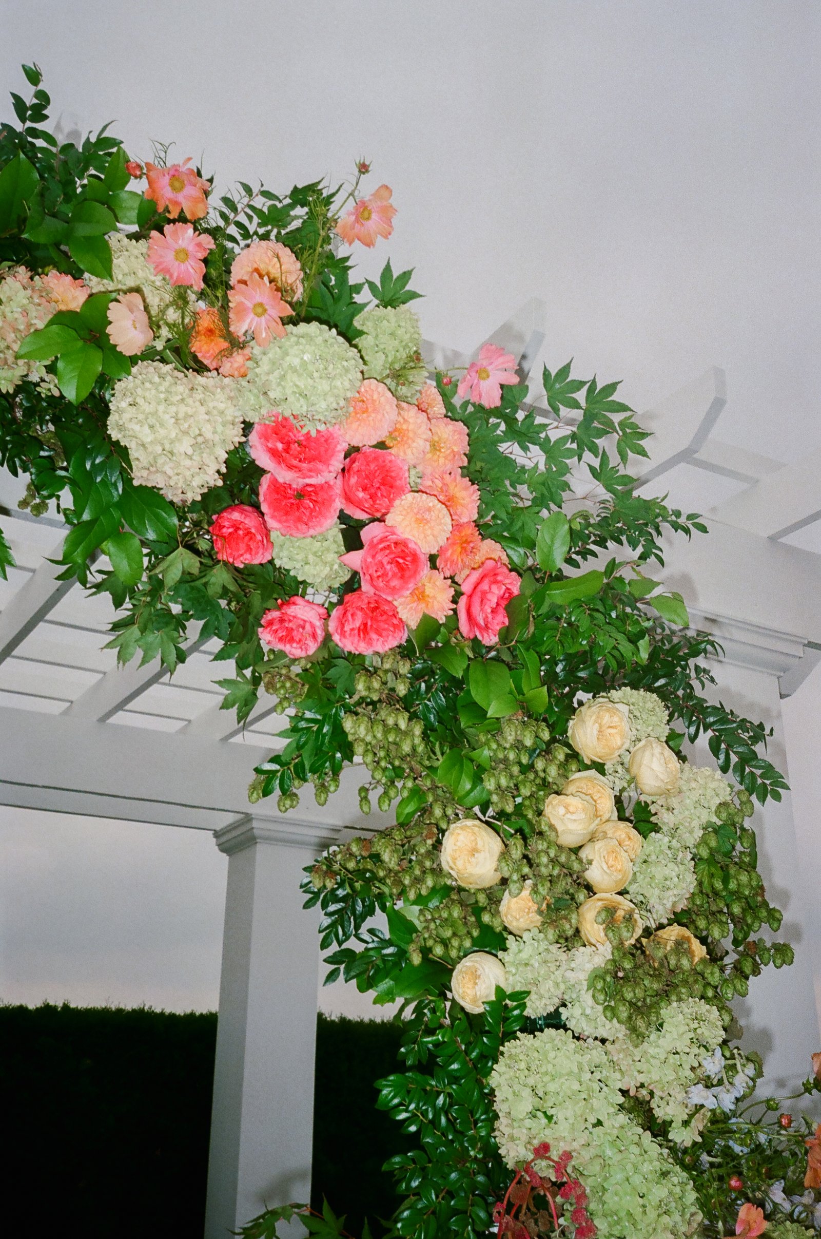 Aerilynn & Manuel — 5