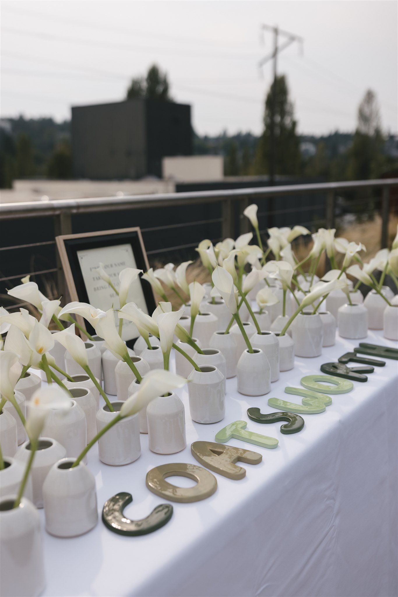 Galen & Andrew — 2