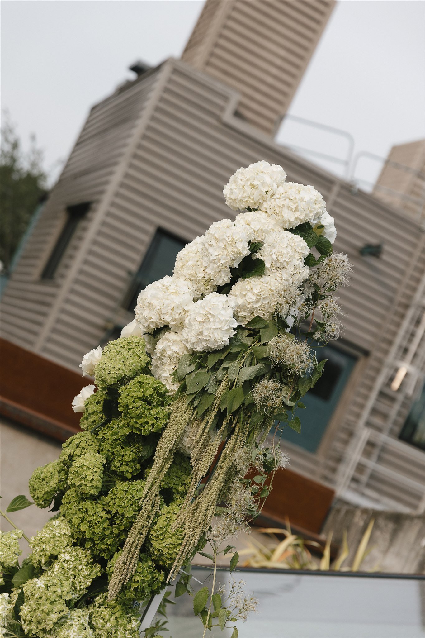 Galen & Andrew — 10