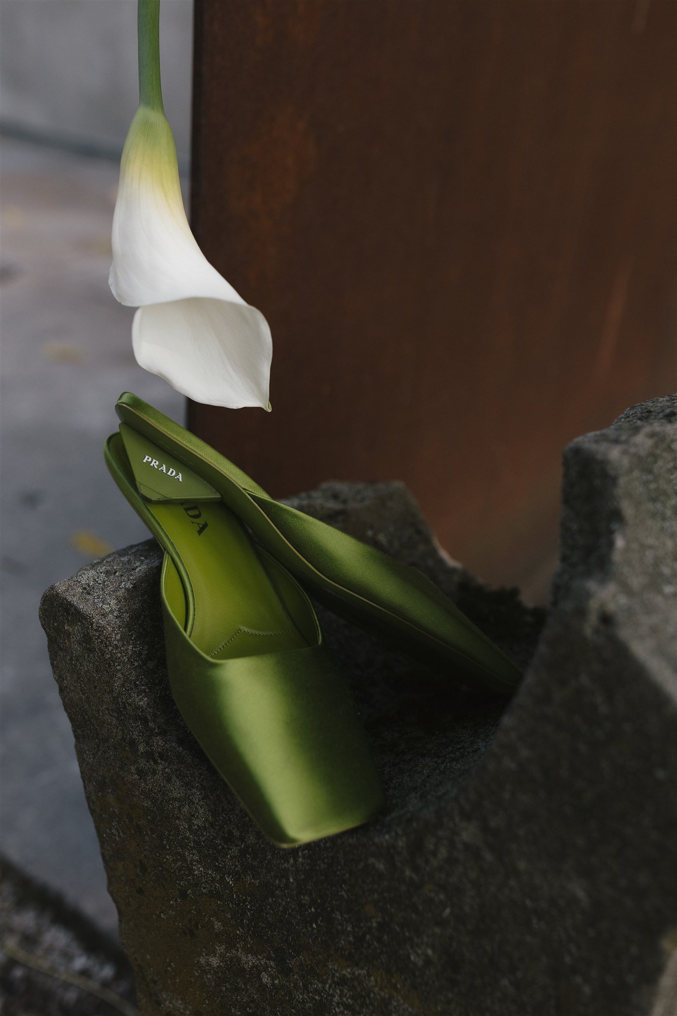 Galen & Andrew — 12