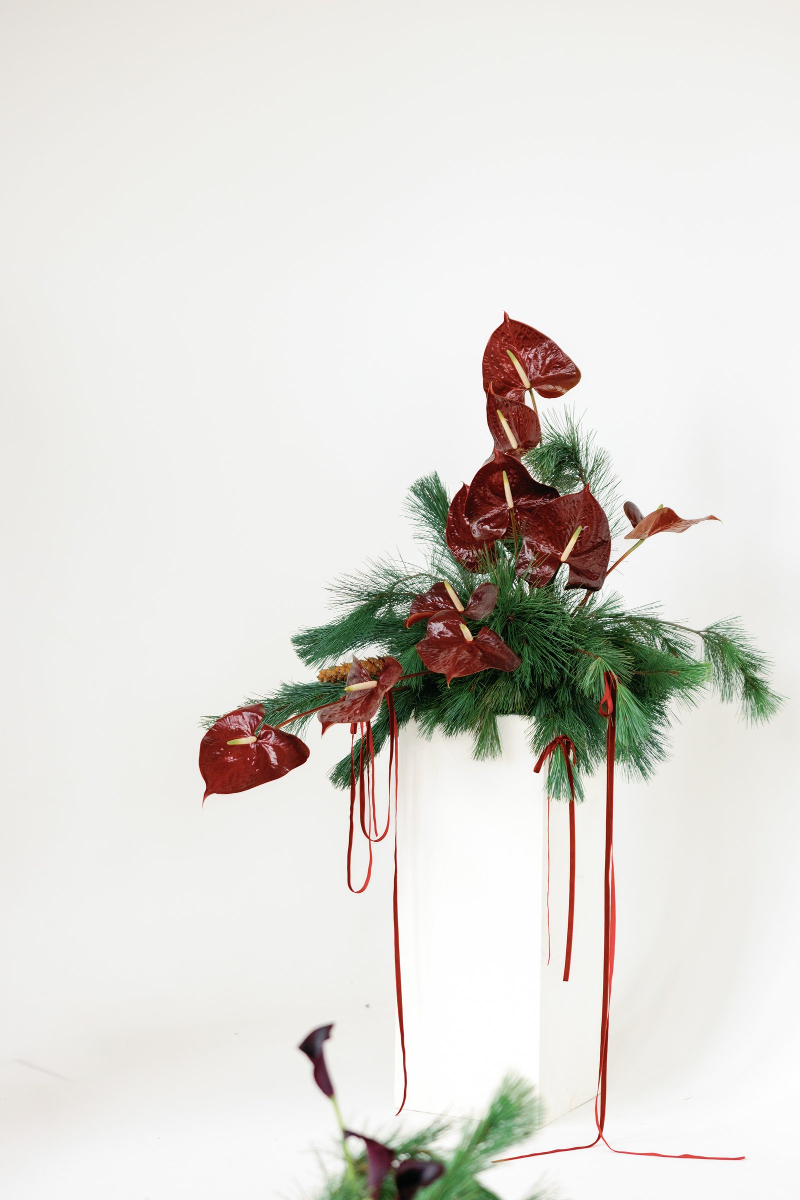 Christmas Photoshoot — 6