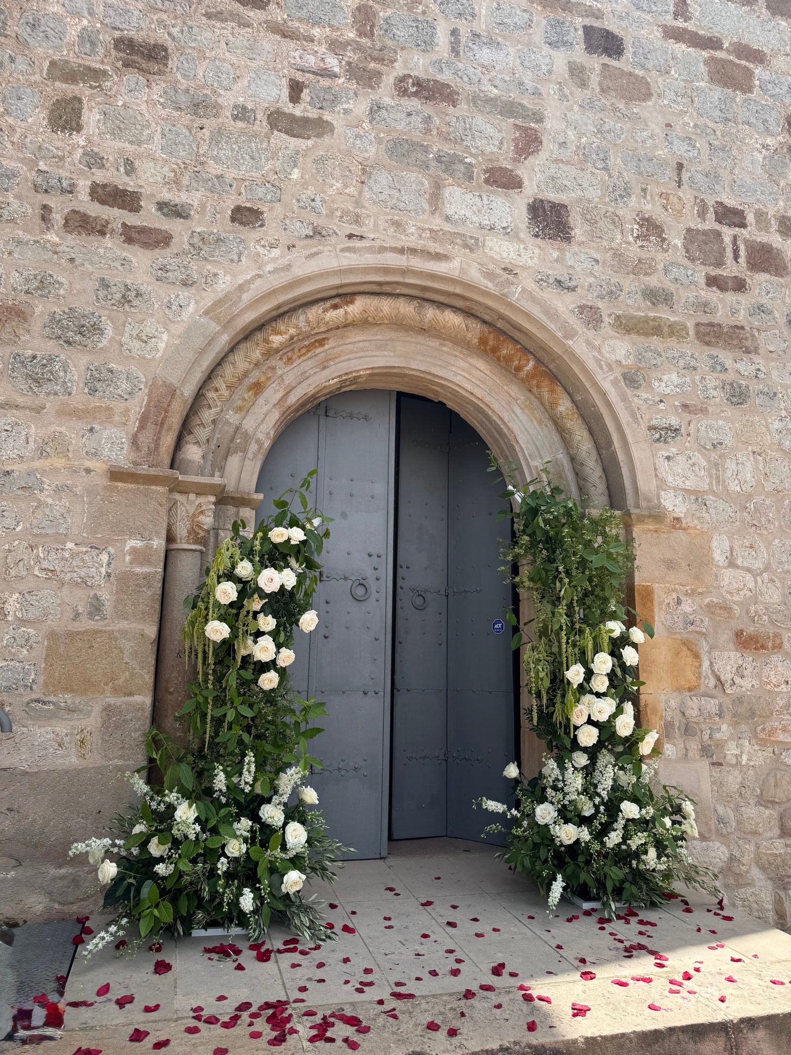 Monica & Daniel — 3