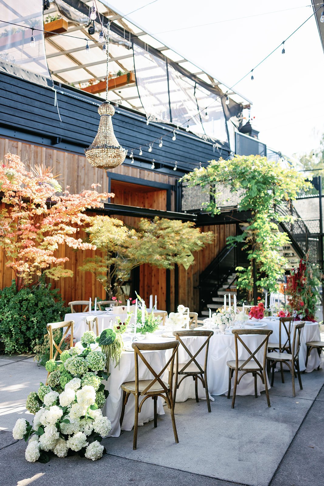 The Fremont Social — 12