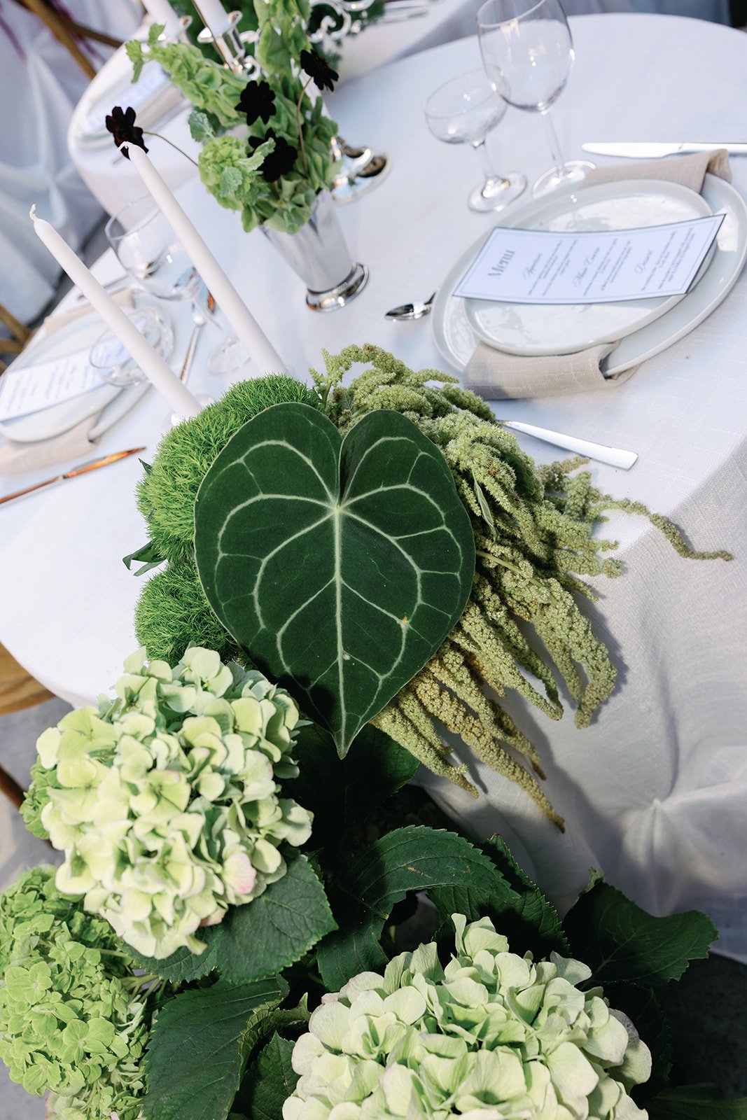 The Fremont Social — 17