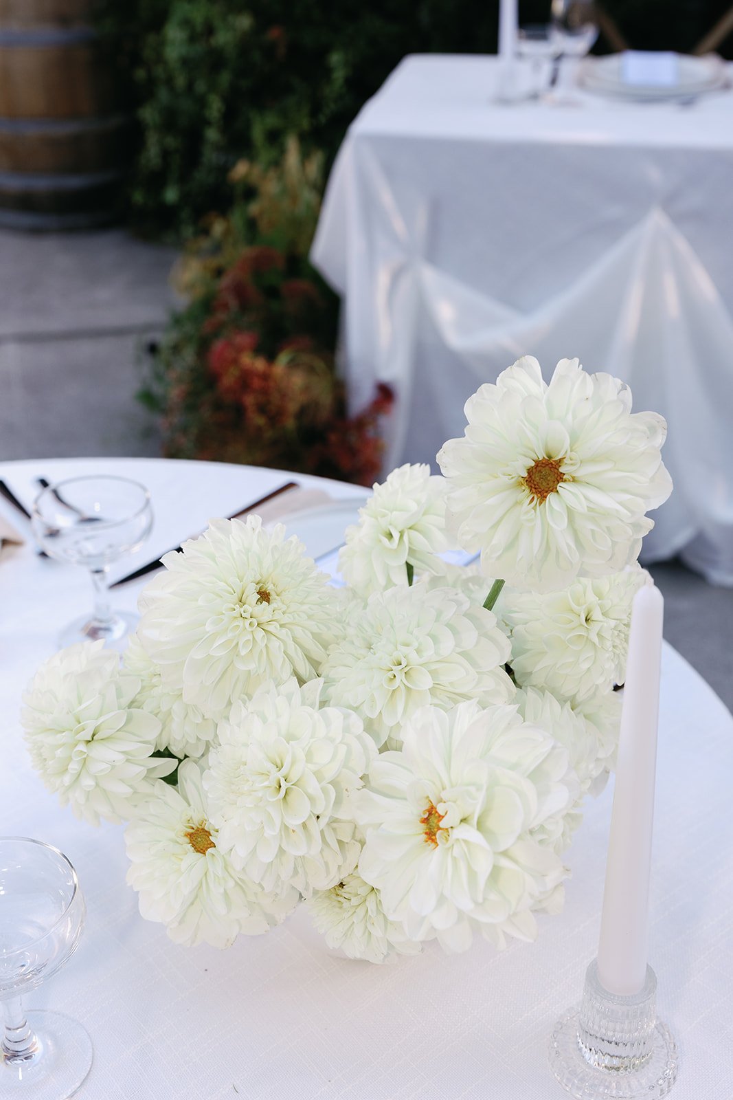 The Fremont Social — 21