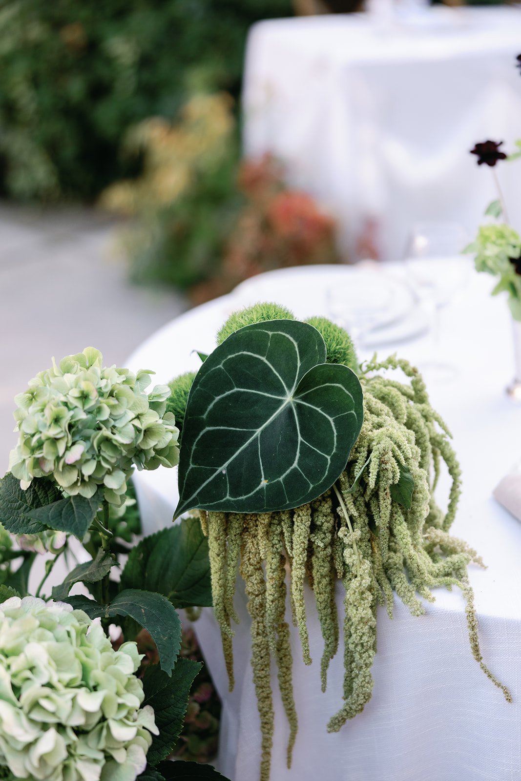 The Fremont Social — 22