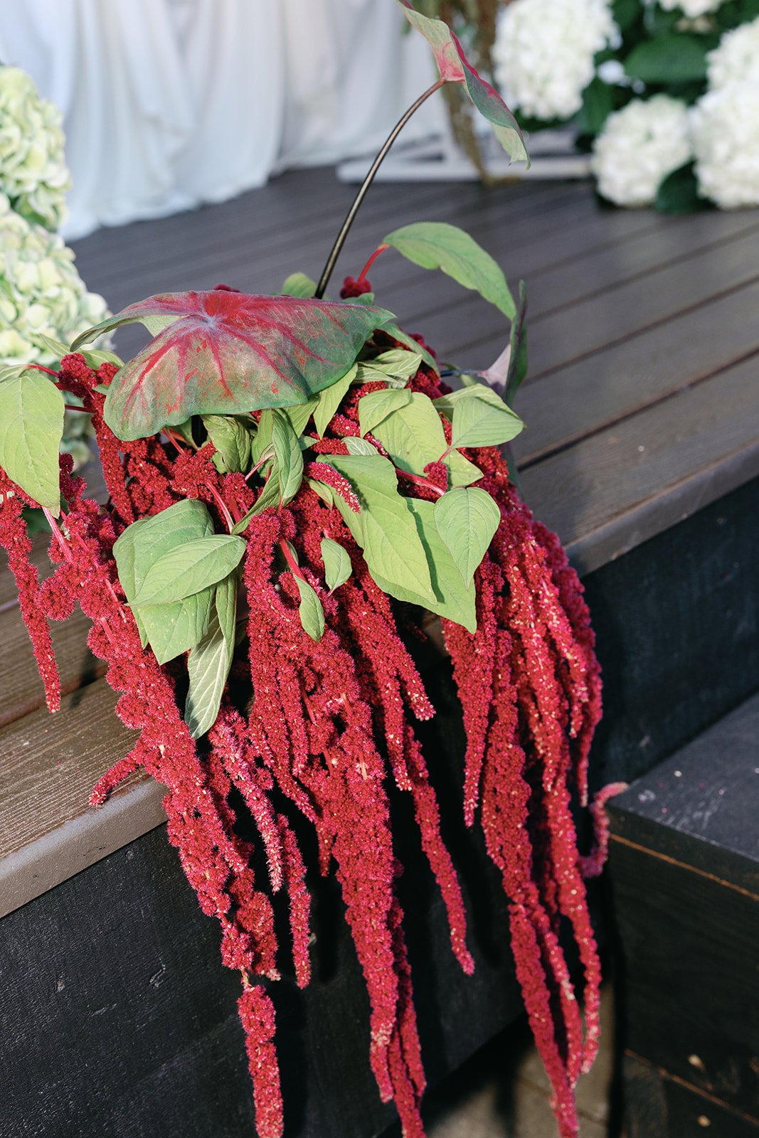 The Fremont Social — 29